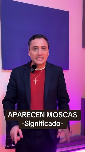 Significado de las Moscas en Casa: ¿Qué Representan?