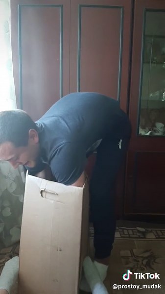 Exploring a Mysterious Cardboard Box Reveal