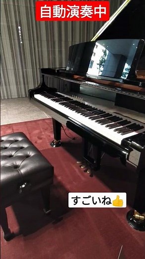 Auto Piano 自動演奏ピアノ #shorts