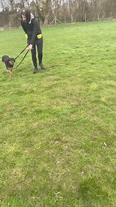 Helping dogs with anxiety issues isn’t a quick fix and it’s often not simple. It’s certainly not just achieved by turning up at a class once a week! It’s multifaceted and we have to work on the underlying causes so that we actually see emotional changes. We never suppress or correct dogs as that’s not how we work. This lovely guy is a case in point, he has a whole team who help him and it’s meant he’s made huge progress over time but it’s not been a straight line of progress and that’s often the