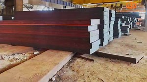 9.5K views · 574 reactions | وتتوالى النجاحات.. 22 حمية ـ خلال الـ...