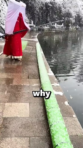 Roy Makie Follow Training Bamboo