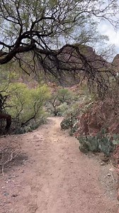 You step off the Black Bridge thinking, “I made it!” The canyon: “Aww, that’s adorable. Keep walking.” Just a few more minutes upstream along Bright Angel Creek. @Roxanne 🤭 | Grand Canyon Arizona