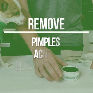 if your pet struggles with frequent acne/pimples/blackheads... we have the EASY quick and natural solution! .....simply apply the remedy daily for 7-10 days and let sit for 3-5 minutes and your pet’s skin will be clear and smooth again 🙂 ReNewedPet.com | Lilnudists Sphynx & Bambino Cattery