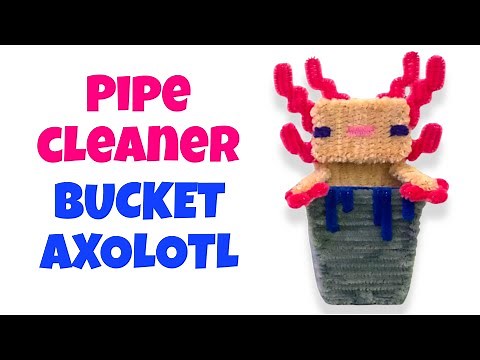 How to make an Axolotl in a bucket with Pipe Cleaners