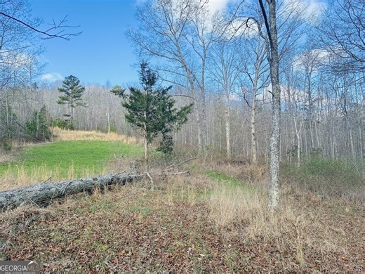 0 County Road 709, Valley Head, AL 35989 - MLS 10712459 - Coldwell Banker