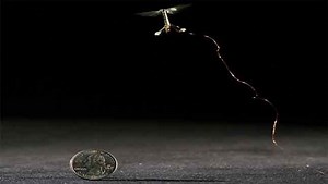 Harvard crea las Robobees, unas abejas mecánicas