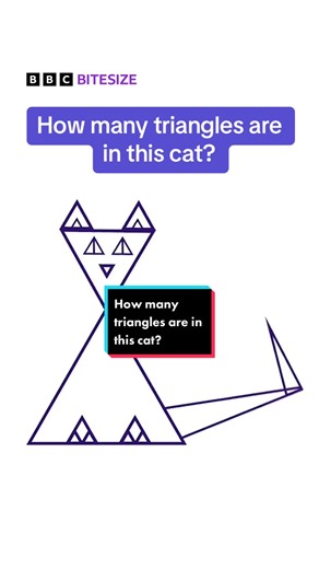 How many triangles can you count? Answers in the comments! 🔺 #Puzzle #InternationalCatDay #CatsOfTikTok #Triangle