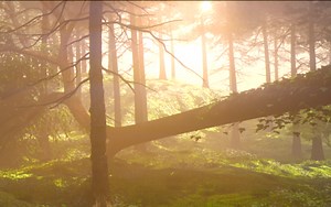 自制节点More Glow使用教程（制作思路，如何实现从0到1）