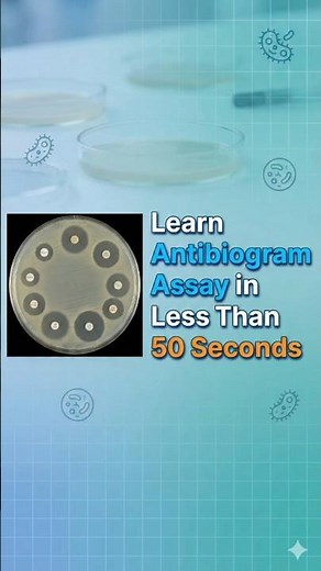 How to Perform an Antibiogram|Antibitic Susceptibility Testing| Step-by-Step Kirby Bauer Method✨🥼🦠