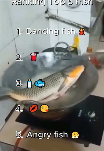 Top 5 Funny Fish Moments You Can't Miss!