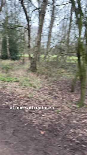 bella🍒 (@belladitchfield6)’s videos with original sound - professional yearner