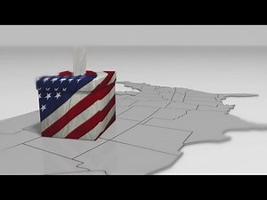 The US electoral system