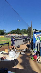 5.8K views | Trying SMACKIN’ Maple Brown Sugar sunflower seeds before the @picklesbaseball game  | Smackin' Sunflower Seeds | Facebook