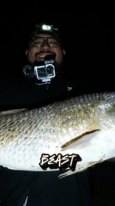 4.8K views · 95 reactions | Went on a surf fishing trip with some good friends. Got there around noon and started surf fishing, my first run was around 2 with a 36in bull redfish on cut mullet. As the night came the redfish wanted whiting. Luckily Michael had caught some mullet. Michael went on and caught 3 reds with 1 whiting head 藍老. King of bryan beach went on and caught another 45incher after this. #fishing #surffishing #beachfishing | Beach Bomber Fishing | Facebook