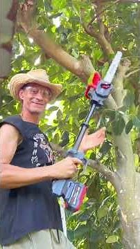 Easy & Relaxing Jackfruit Tree Pruning by P’Steve 🌱💖