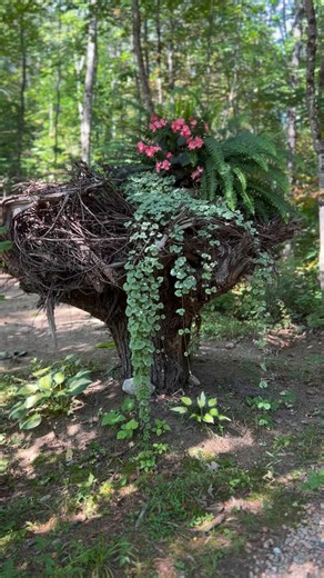 Alpine Garden on Instagram: "Return guest reminder ✨ Our return customer discount is only available until January 1—after that, it’s gone. Weekends are already filling up fast, and Memorial Day books early every year. If a spring or summer escape to the White Mountains is calling, now is the time to lock it in. Mountains. Cabins. Heated pool. Winery nights. Don’t wait on this one. #AlpineGardenGlamping #ReturnGuestPerk #WhiteMountainsNH #GlampingLife #MemorialDayWeekend"