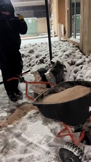 Teamwork Strategies for Success in Challenging Conditions