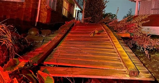 Roofs damaged, trees uprooted as tornado hits Hamilton