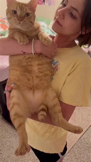 23K views · 615 reactions | baby peach | peachandpumpky | Facebook