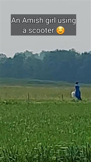 17K views · 455 reactions | An Amish girl using a scooter  #ohioamishcountry #amish #amishcountry #amishlife #countryliving #countrylife | Ellen MariaelenaB | Facebook