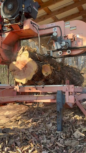 92K views · 1.8K reactions | Fired up my sawmill! First time in 2 years! 35 year old cedar tree! | Brittain's Tree and Crane Service | Facebook