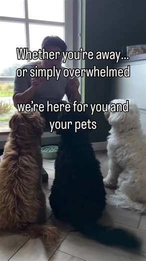 Because exceptional care isn’t only for vacations. Sometimes you’re home, working hard, juggling life and your pets still deserve the attention, structure, and presence you don’t always have the space for. That’s where we step in. Whether you’re traveling the world or simply navigating a busy season, we bring the same calm, consistency, and high-level care straight into your home. Walks, feeding, routines, cooking, errands, vet or groomer visits all handled with the kind of attention that lets y