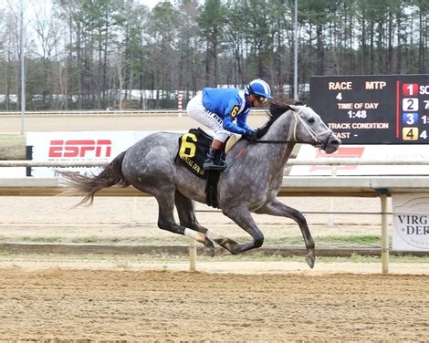 Ezum Rolls to Maiden Victory at Colonial Downs