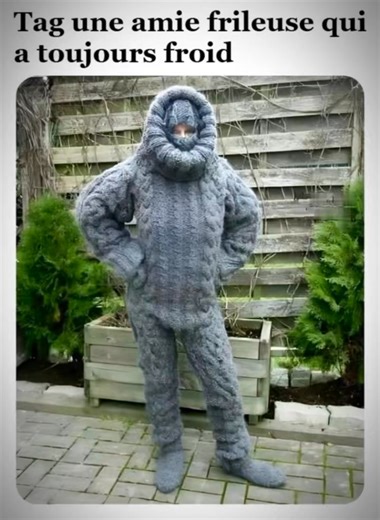 Préparez-vous à rire avec notre compilation hilarante de mêmes de chats et d'animaux et autres ! 🐾 | Chats / Cats Compilation