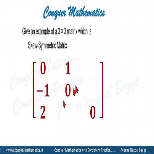 Example of a Skew-Symmetric Matrix -Matrices -Class 12 Mathematics - XII-M-13- Support Material, DoE