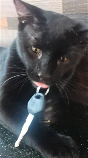 I searched everywhere for my scooter keys look where I found #aesthetic