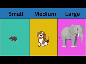 Learning Sizes for Kids - Fun Ways to Teach Kids About Sizes