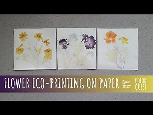HOW TO ECO-PRINT FLOWERS ON PAPER | ORGANIC COLOR | COREOPSIS COSMOS MARIGOLD PINCUSHION DAISY