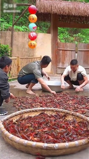 Cooking Bright Red Prawns for a Fun Picnic! 🍤🌳