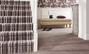 Carpets