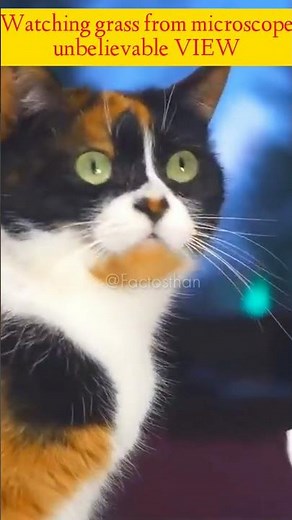 How grass looks in microscope🔬|😮Interesting facts|amazing facts|Facttechz new video #shorts |#facts