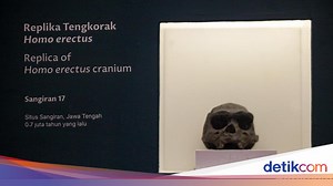 Catatan Raden Saleh Jadi Bukti Temuan 'Java Man' di Trinil