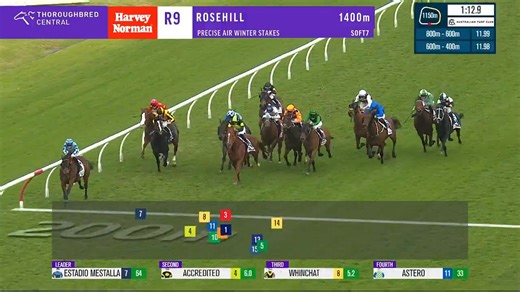 5.8K views · 60 reactions | ESTADIO MESTALLA wins the Winter Stakes! A boilover in the feature at Rosehill as Dylan Gibbons leads all the way on the Pride Racing gelding with the blinkers on, beating Robusto with Accredited in third. TAB | Racing NSW | Facebook