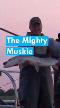 Stocking the Great Lakes Spotted Muskie