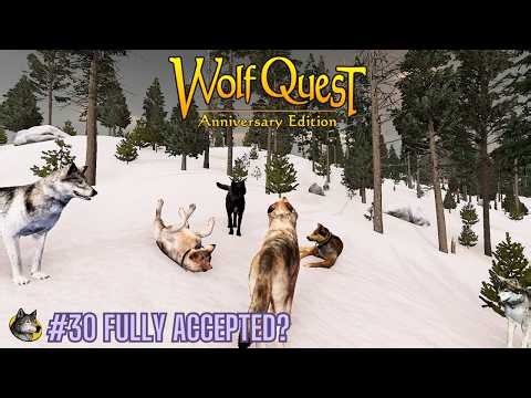 #30 Fully Accepted? - The Storm Pack - WolfQuest Saga