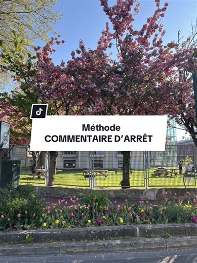 Méthodologie du Commentaire d'Arrêt en Droit