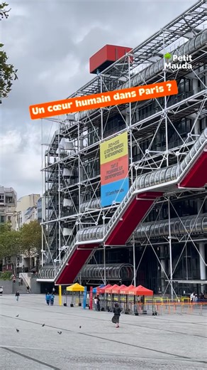 Impossible de le manquer en plein cœur de Paris : le Centre Pompidou, avec son look futuriste et coloré, est l’un des bâtiments les plus iconiques de la capitale 🤯. Inauguré en 1977, ce centre d’art et de culture a totalement bousculé les codes architecturaux. Conçu par les architectes Renzo Piano et Richard Rogers, il affiche fièrement ses tuyaux, ses escalators et ses structures métalliques à l’extérieur, laissant l’intérieur totalement modulable. Une vraie révolution pour l’époque ! ⚙️🎨 Au-