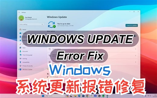 windows系统更新报错快速修复！
