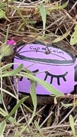 Free if you can find it, Vancouver Island, downtown Nanaimo. #coffee #art #rocks #purple