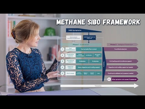 Methane SIBO Treatment: Best Natural Protocols