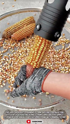 Precision Handheld Shelling Tool for Fast Efficient Kernel Removal
