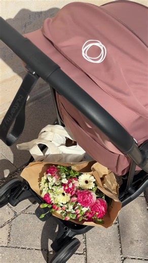 Explore the New Dusty Pink Bugaboo Butterfly 2 Stroller