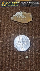 Did a full flyover of our latest collection of gold-in-quartz slabs — 50 or 60 pieces laid out, from small to massive… Each one with its own wild pattern and personality. Kayla and I gave real-time commentary as we filmed — No script, no filter, just pure reaction to the gold we’ve been uncovering. Last time we did a video like this, it hit over a million views in 3 days — Let’s see if this one takes off too. Watch, listen, and tell us which slab stands out the most 👇 #GoldInQuartz #SlabFlyover