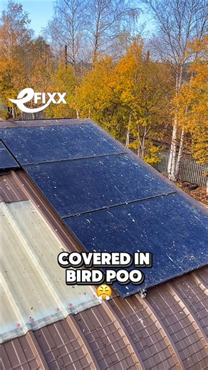 eFIXX on Instagram: "Solar Panels vs Pigeons: An Ongoing Battle 🤦‍♂️ Do solar panels attract pigeons, or is this just bad luck? We’ve had a flock of feathered freeloaders circling Lineside Studios for weeks, nesting, lurking, and judging us from above. Gary reckons they’ve followed him up north. We’re not ruling it out. Let’s talk panel pigeons. #solarpanels #solarenergy #solarpower"