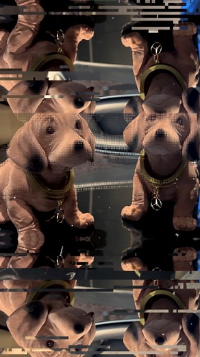Meet our retro German Nodding Dog!  This nostalgic accessory brings a touch of vintage charm and fun to any ride. Perfect for adding personality to your dashboard! #RetroVibes #GermanNoddingDog #AutoHangar #VintageStyle #CarDecor #Retro | Auto Hangar Mercedes Benz | Facebook